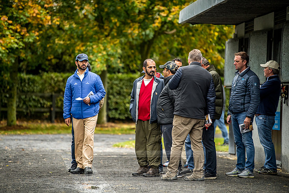 Goffs Orby 2018 Day 1-229