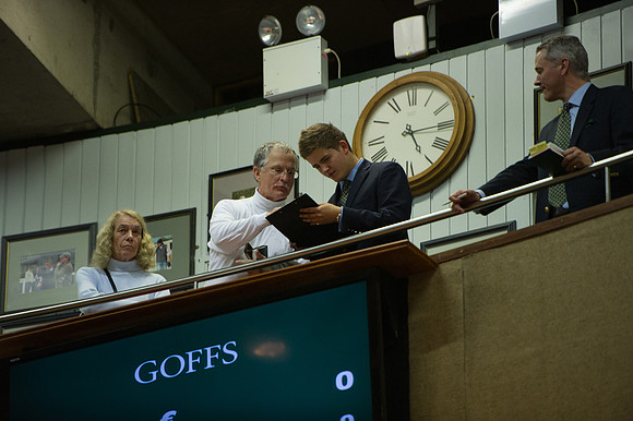 Goffs Orby14 CF7 684