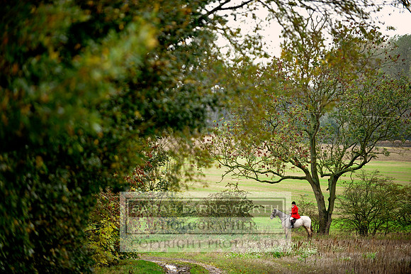 Brocklesby 021113 CF3 485