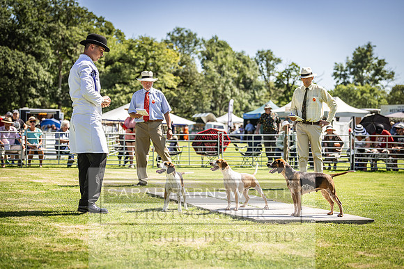 Rydal Hound Show 2022-159