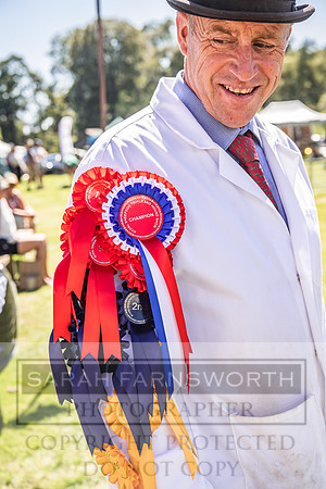 Rydal Hound Show 2022-147