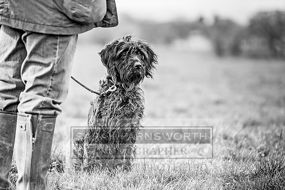 Wynnstay Hunt Ride 2019-141