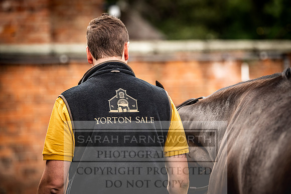 Goffs Yorton Sale 2022-22