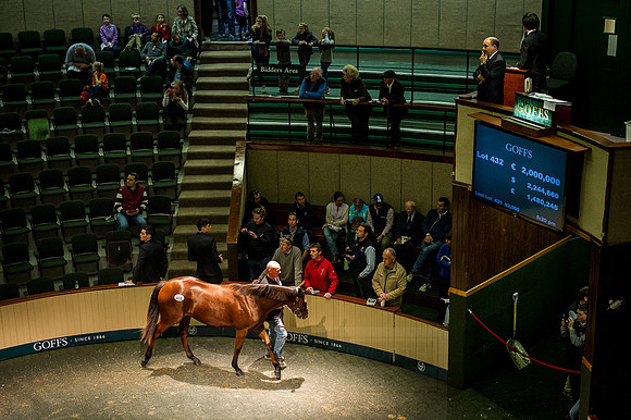 Goffs Orby 2015 -630