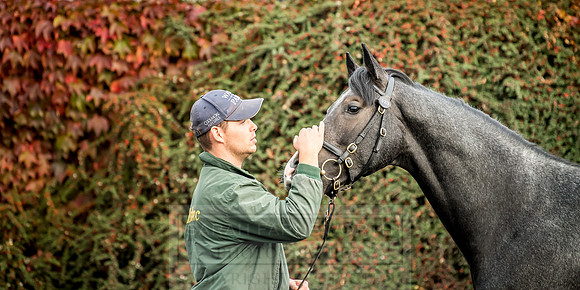 Goffs Orby 2018 Day 2-33