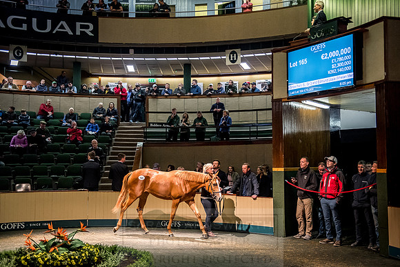 Goffs Orby 2018 Day 1-404