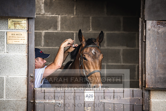 Goffs Land Rover Sale 2022-18