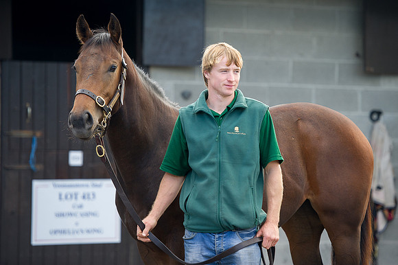 Goffs Orby14 CF11 039