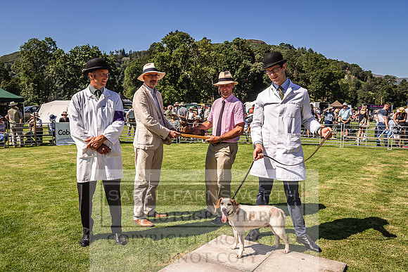 Rydal Hound Show 2022-49