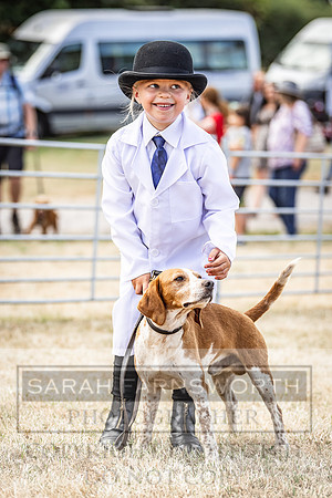 Honiton Hound Show 2022-63