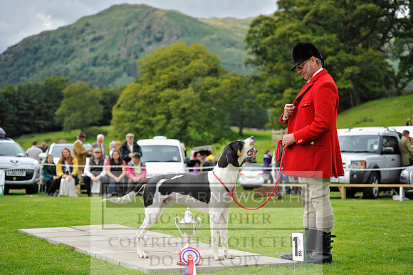 Rydal 2014 CF2 1120