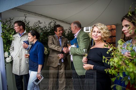 Goffs London Sale 2016-269