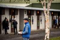 Goffs Orby 2018 Day 1-7
