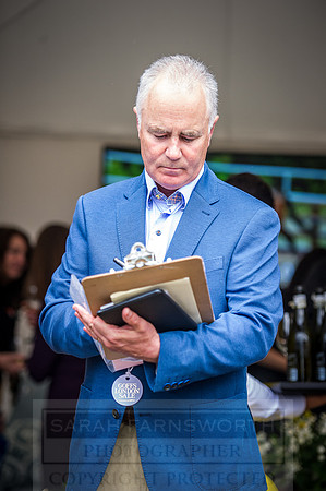 Goffs London Sale 2016-387
