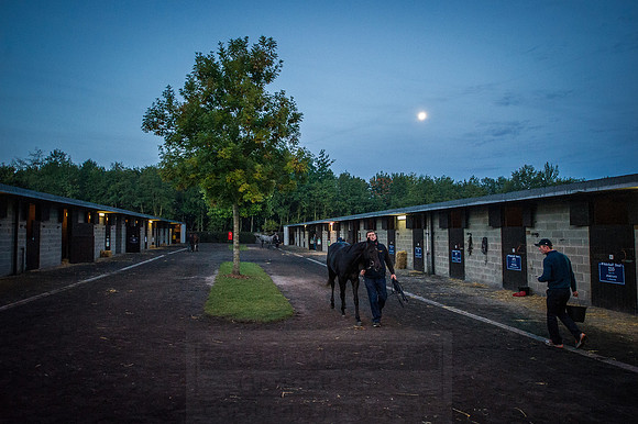 Goffs Orby 2015 -44