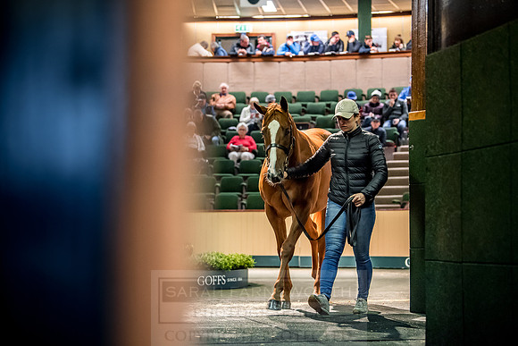 Goffs Orby 2018 Day 1-206