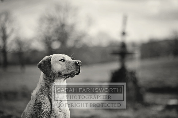 Drake 260214 CF2 068 bw