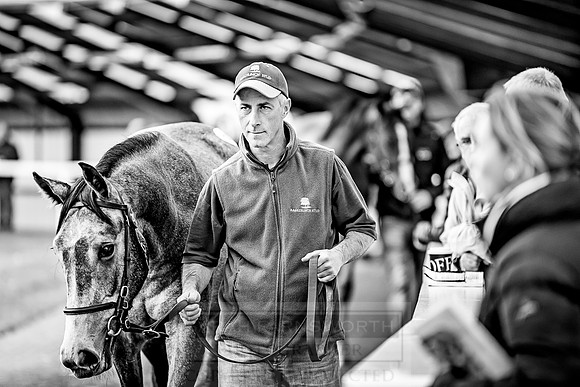 Goffs Orby 2018 Day 2-106