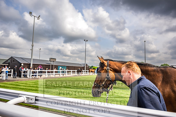 Goffs UK Spring Sale 2024-163