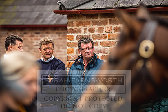 Goffs Yorton Sale 2022-121