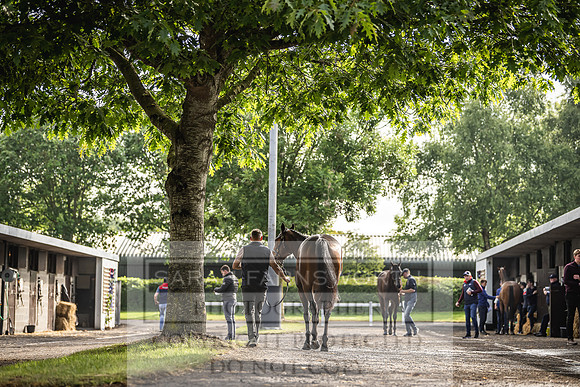 Goffs Land Rover Sale 2022-103