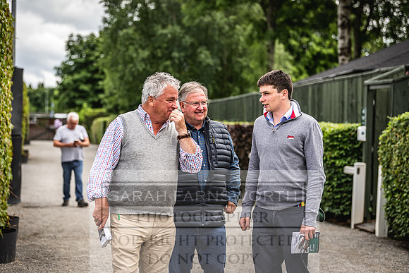 Goffs Land Rover Sale 2022-380