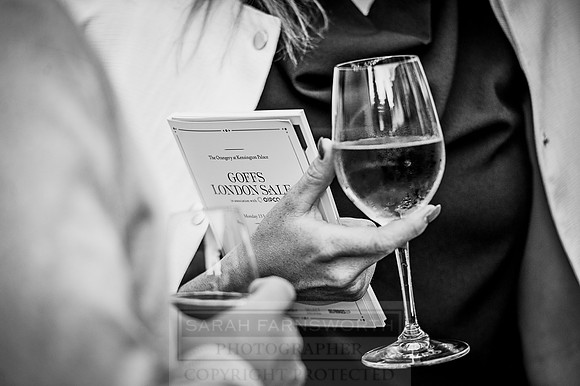Goffs London Sale 2016-207