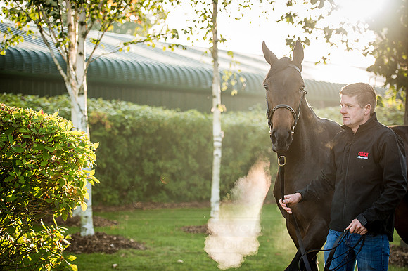 Goffs Orby 2015 -151