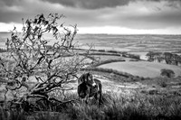 Exmoor Autumn 2020-16