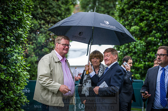Goffs London Sale 2016-303