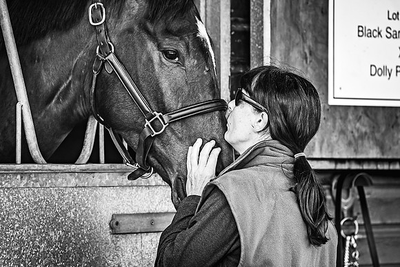 Goffs UK Spring Sale 22 Day 2-16