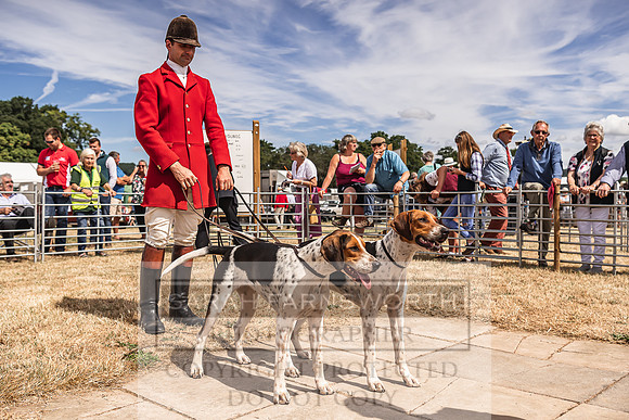 Honiton Hound Show 2022-124