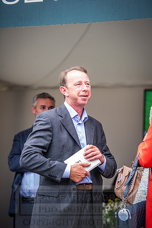 Goffs London Sale 2016-394