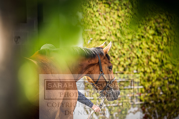 Goffs Land Rover Sale 2022-126