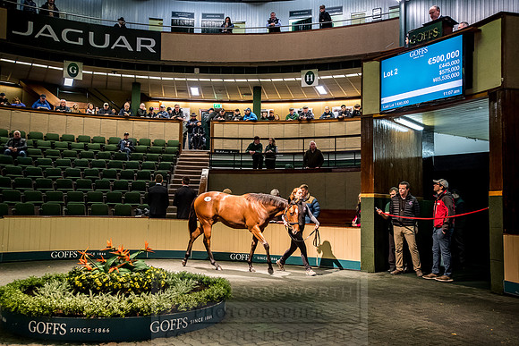 Goffs Orby 2018 Day 1-148