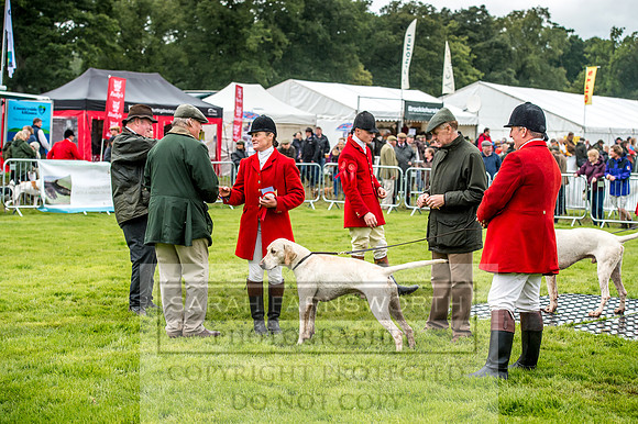 Lowther Hound Show 2017-42