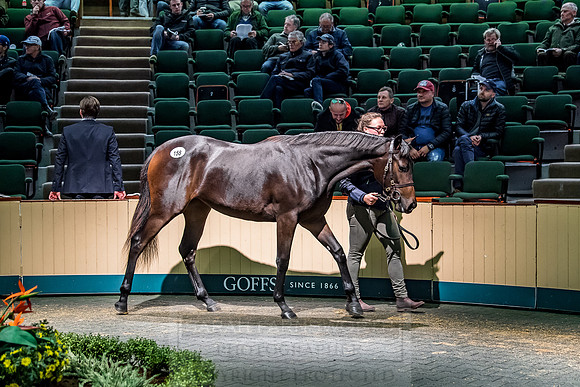 Goffs Orby 2018 Day 1-368