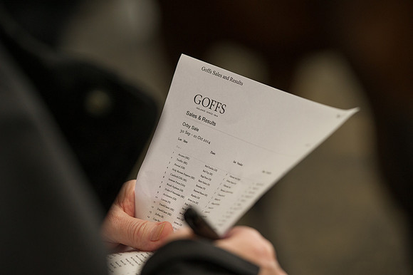 Goffs Orby14 CF7 006