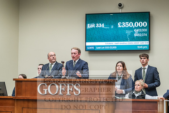 Goffs UK PY24-439