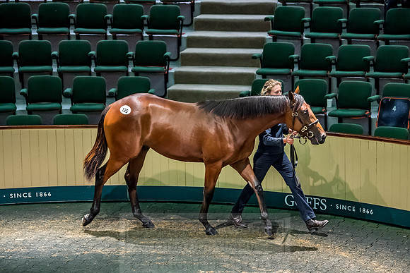 Goffs Orby 2018 Day 1-309