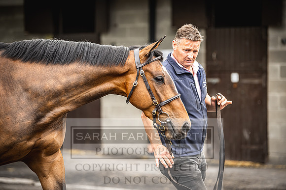 Goffs Land Rover Sale 2022-318