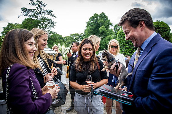 Goffs London Sale 2016-189