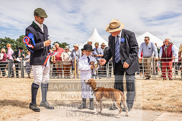Honiton Hound Show 2022-133