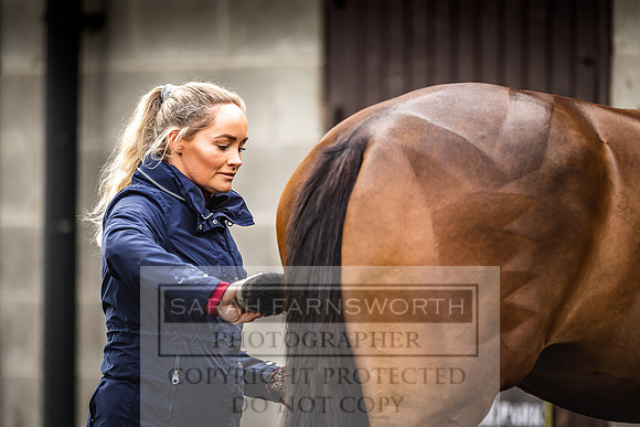 Goffs Land Rover Sale 2022-520