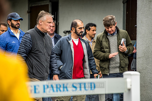 Goffs Orby 2018 Day 1-232