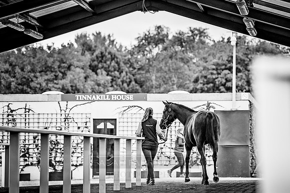 Goffs Orby 2018 Day 2-101