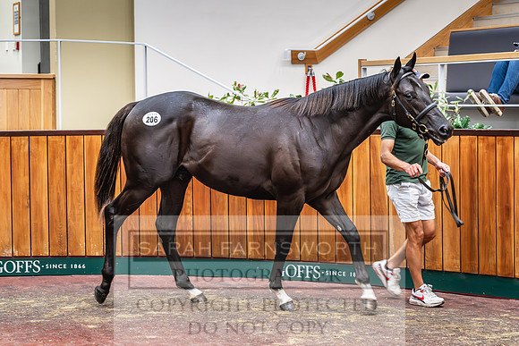 Goffs UK PY24-227