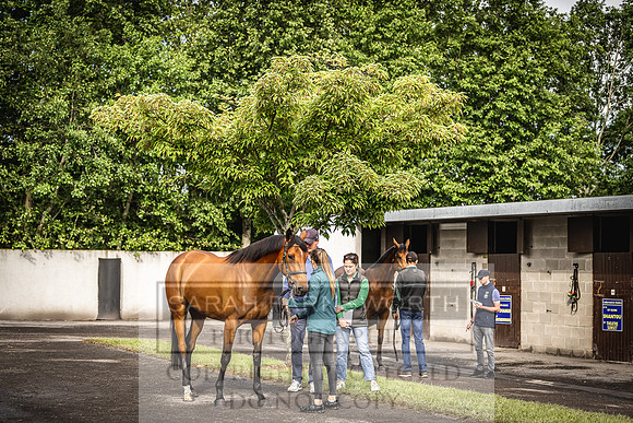 Goffs Land Rover Sale 2022-70