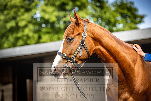 Goffs Land Rover Sale 2022-5