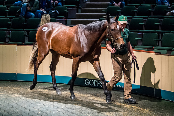 Goffs Orby 2018 Day 2-168